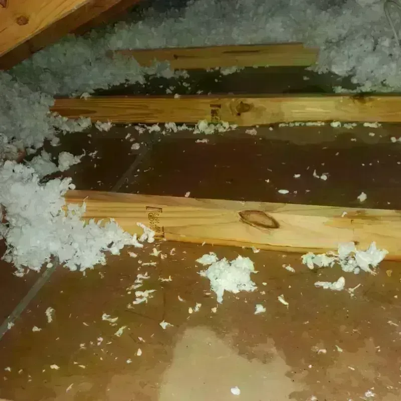 Attic Water Damage in Clayton, CA