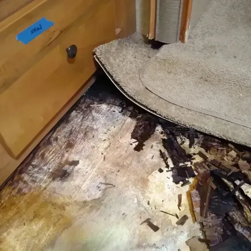 Best Wood Floor Water Damage Service in Clayton, CA